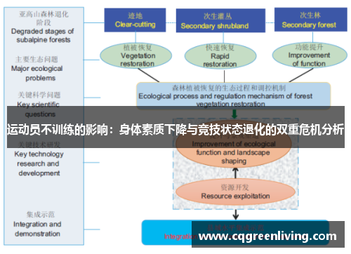 运动员不训练的影响：身体素质下降与竞技状态退化的双重危机分析