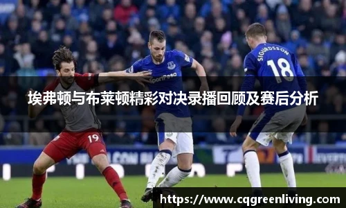 埃弗顿与布莱顿精彩对决录播回顾及赛后分析