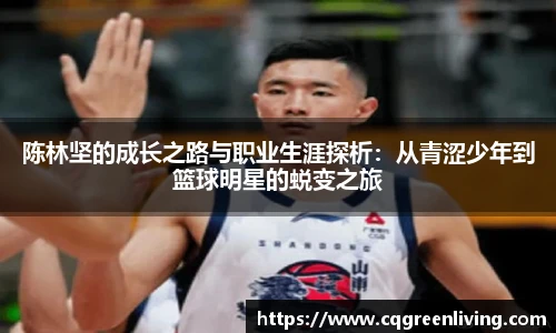 陈林坚的成长之路与职业生涯探析：从青涩少年到篮球明星的蜕变之旅