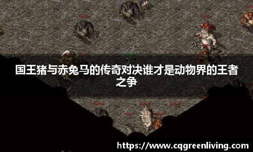 国王猪与赤兔马的传奇对决谁才是动物界的王者之争